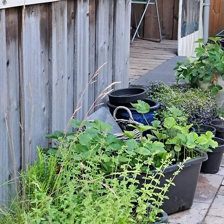 De Bosvlinder * Hoenderloo