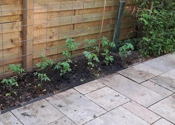 De Bosvlinder Domek alpejski Hoenderloo