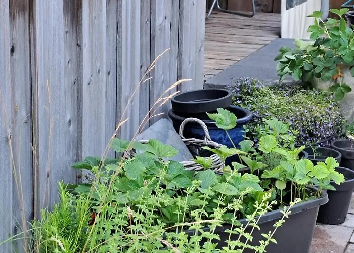 De Bosvlinder * Hoenderloo