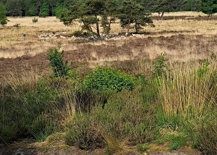 Domek alpejski De Bosvlinder