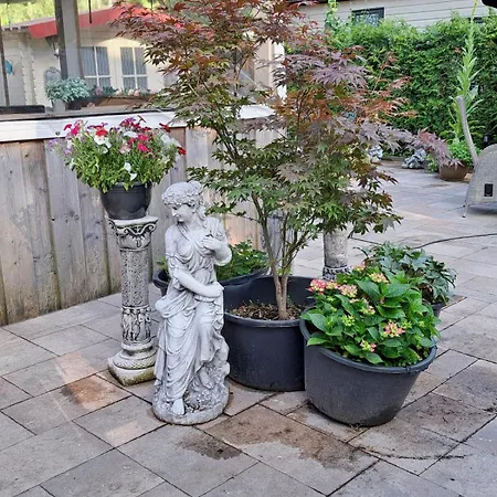 De Bosvlinder בקתה הונדרלו